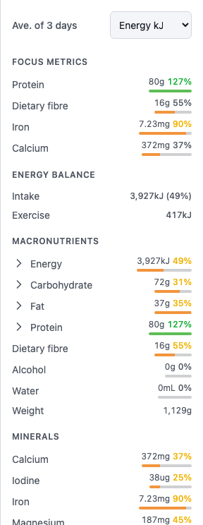 The diary summary panel with focus metrics and energy balance