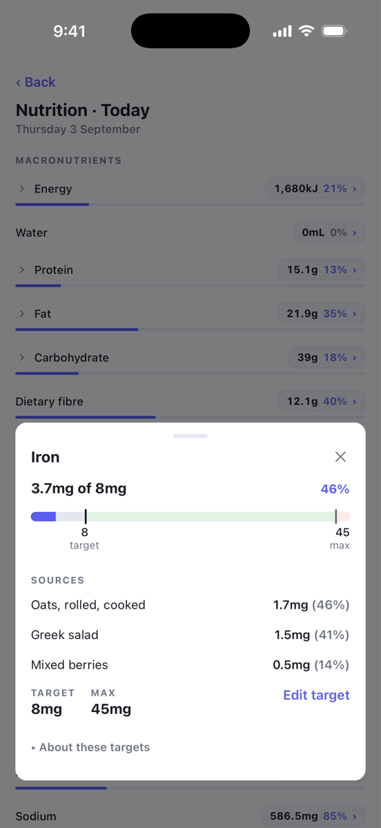 The Iron detail sheet with the target and max bar and the Sources list